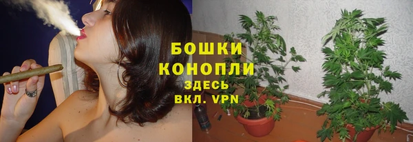 прущая мука Нея