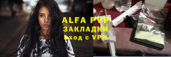 индика Нефтекумск