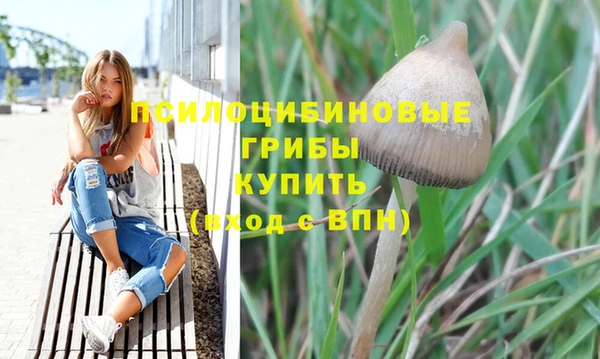 ПСИЛОЦИБИНОВЫЕ ГРИБЫ Иннополис
