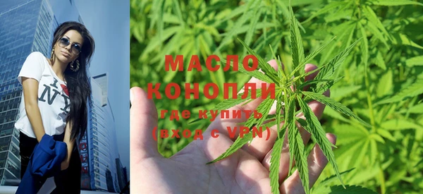 индика Нефтекумск
