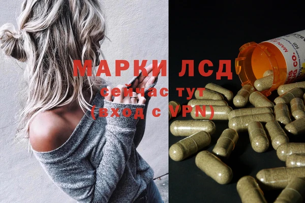 ПСИЛОЦИБИНОВЫЕ ГРИБЫ Иннополис