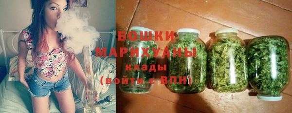 ПСИЛОЦИБИНОВЫЕ ГРИБЫ Иннополис