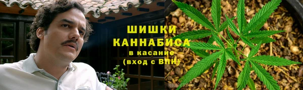 индика Нефтекумск