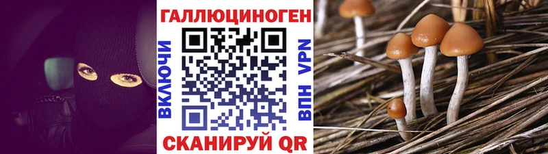 Псилоцибиновые грибы мухоморы  Камышин 